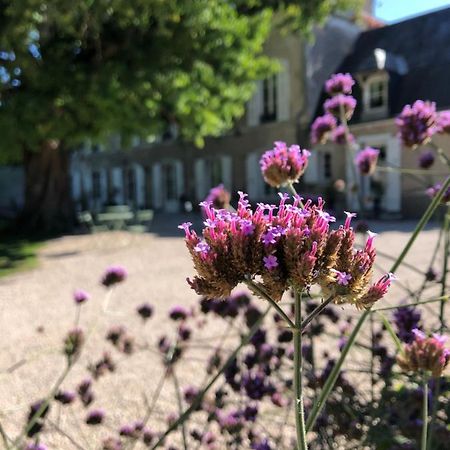 Отель Domaine Saint-Hilaire Мён-сюр-Луар Экстерьер фото